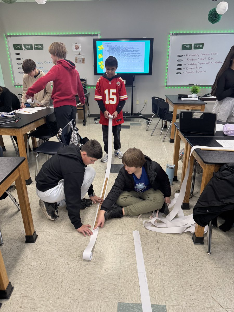 MannerClass's tweet image. We did the math and figured out exactly how long each of the organs are in our digestive system. We put that together and came up with roughly 30 feet! Our bodies are incredible! @WSMSwolves #WeAreWentzville