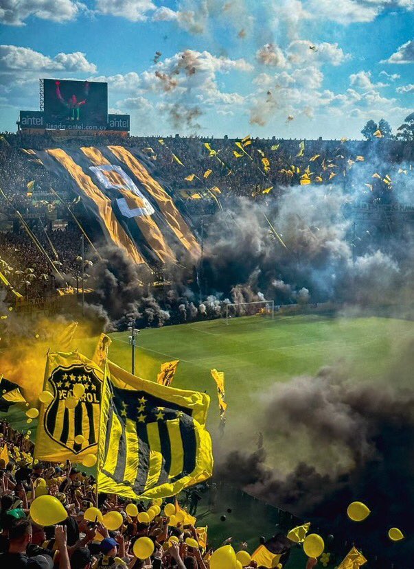 Es hoy Peñarol querido, siempre a tu lado… 💛🖤