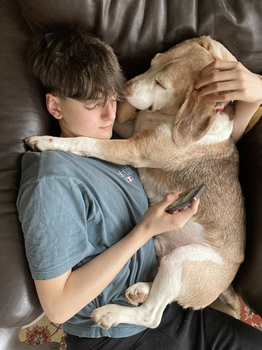 Hold tight to those you love #beagle #BeaglebugClub