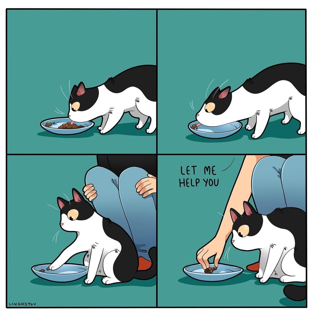 MariekeO_79's tweet photo. #catpicture2025 #february9th
Dit doe ik dus ook bij Moos 😬 https://t.co/wN0cMeqoK1