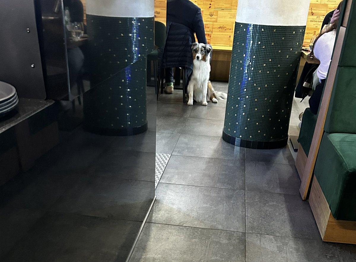 Wojtek PL tweet media