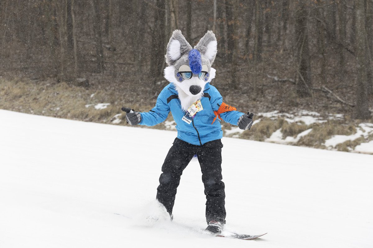 Ever see a dog on a ski hill? Now you have! <a href="/FurskiWI/">Furski</a>
📸 <a href="/dire_walf/">Dire Walf</a>