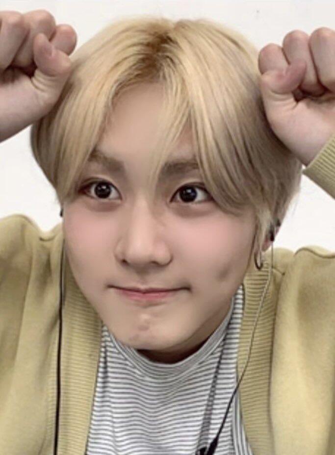 양동미 tweet media