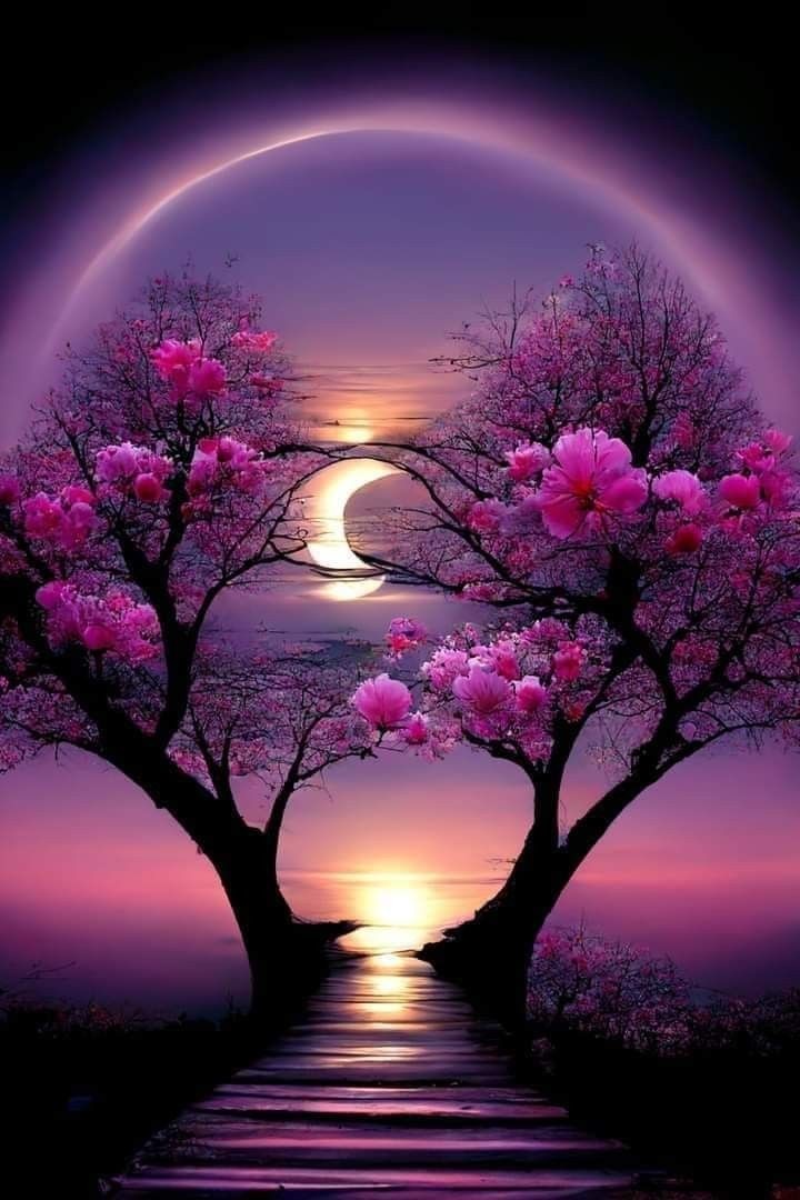 ⚘S͟h͟e͟n͟b͟a͟g͟a͟m͟⚘ tweet media