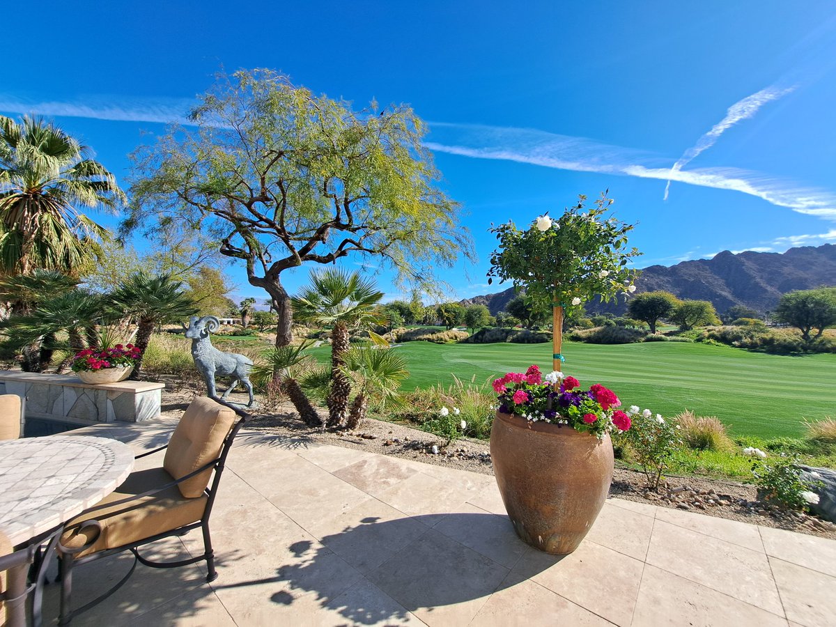 Amy Yu, MD tweet media