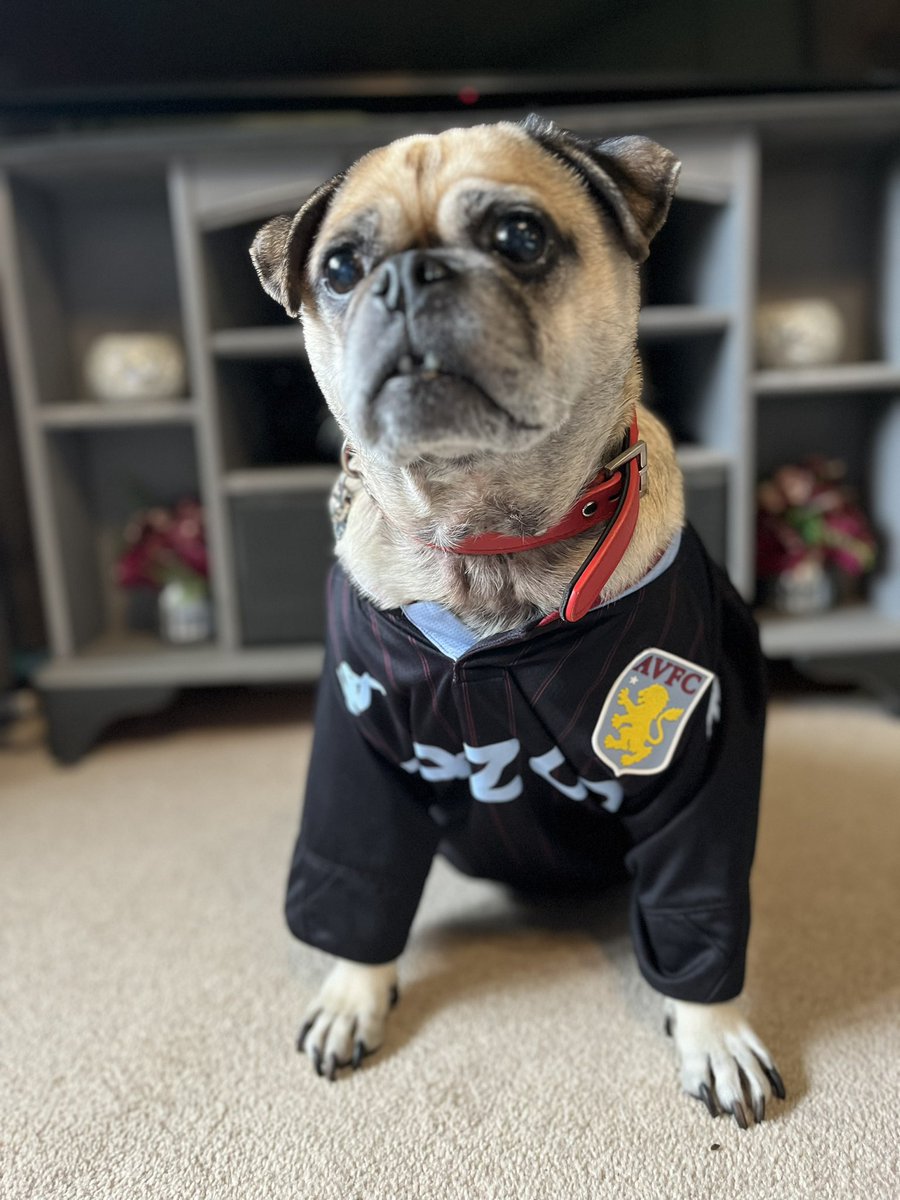 Ms_S_Howard's tweet image. The old boy is ready! #avfc #villa #FACupFourthRound #chug