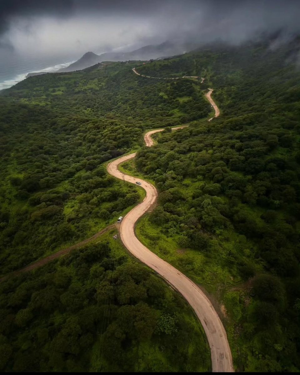 المهرة الجنوبية 💚