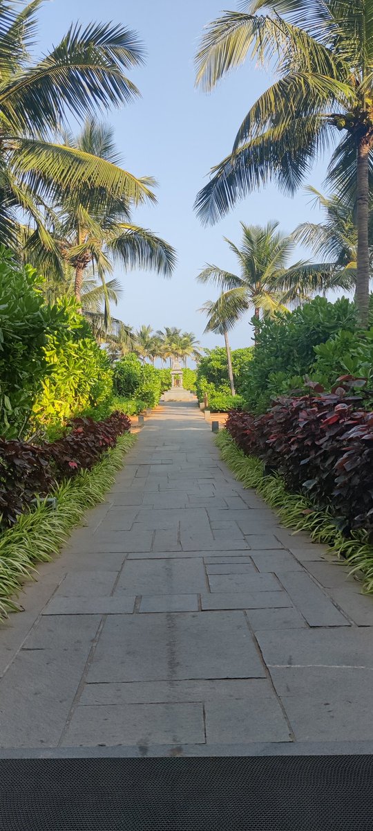 Tanv_ism's tweet photo. The secluded beach at the intercontinental Mahabalipuram resort is so pristine and clean! https://t.co/V09gC3dZtF