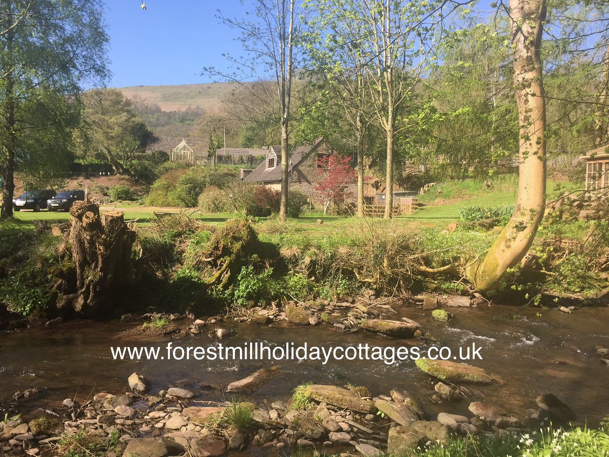 ForestMillCott's tweet image. 🌿 Looking for the perfect Half-Term getaway? 🌿

Escape to Forest Mill Cottage – a cosy, dog-friendly retreat perfect for adventures, rambles, and relaxation by the fire. 🏡🐾

Book your stay and make this Half-Term unforgettable! 📅

#HalfTermHoliday #DogFriendly #FamilyGetaway
