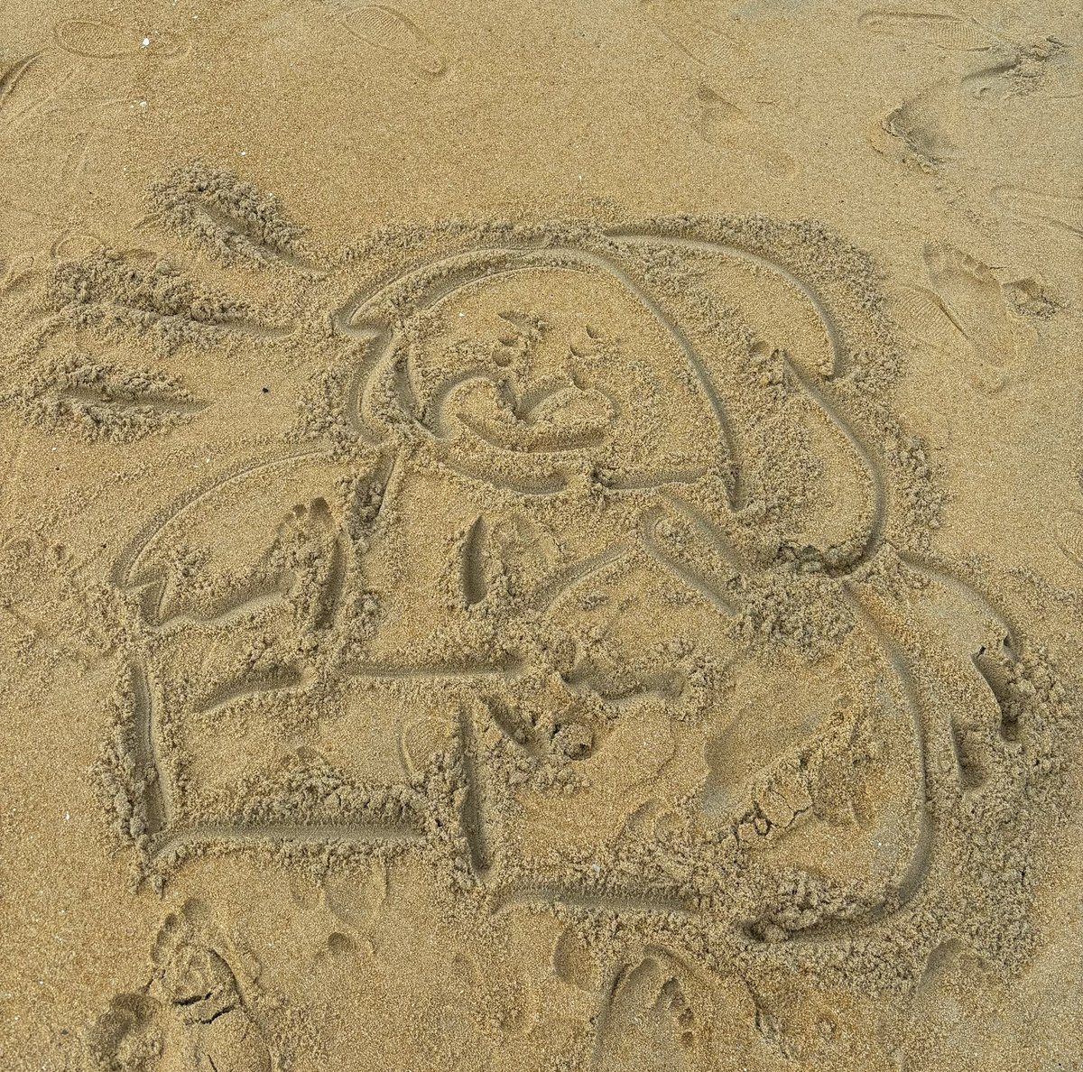 sussy_PYd0g tweet media