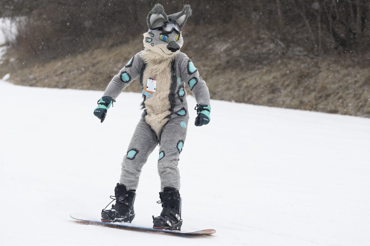 Kitty on the hill, what will she do? 
<a href="/FurskiWI/">Furski</a> 
📸 <a href="/dire_walf/">Dire Walf</a>