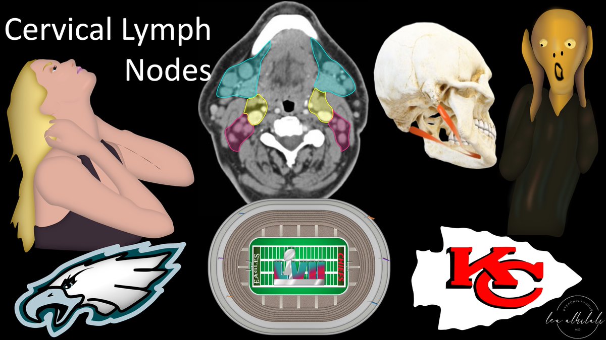 1/To be or not 2b?? That is the question!

Do you have questions about how to remember cervical lymph node anatomy &amp; levels?

Here’s a SUPERBOWL thread to show you how!