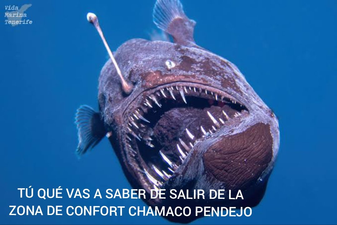 <a href="/HORMIGA_RETURNS/">Una hormiga que mira tu post 🐜</a>