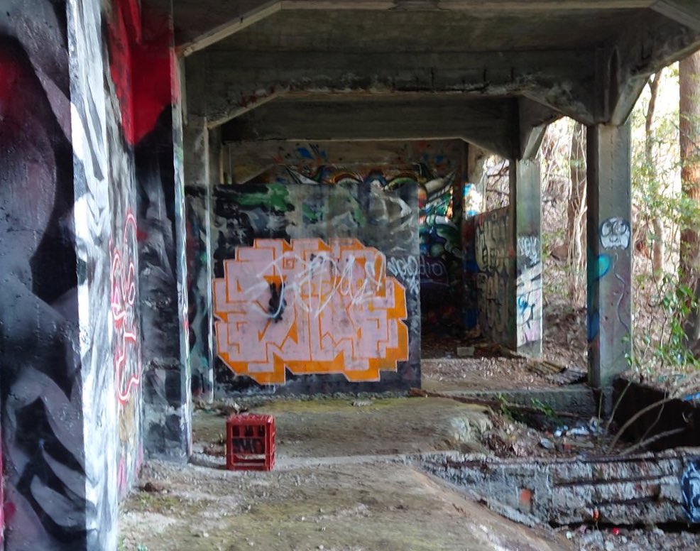 焼肉要塞のICG姉貴は消えちゃったけど、旧小峰トンネルのNYN姉貴はまだ