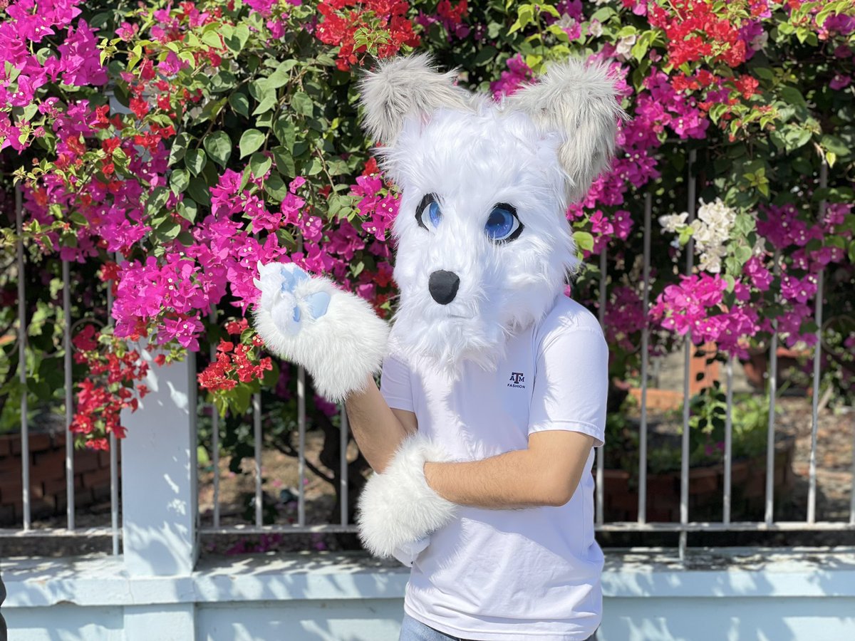 Sochi_Okami's tweet photo. ✨🐾🌕🐺

🦊🐺🐱: “Hey! Sochi, what are you thinking about? 🌸🌿✨🌈🌟⭐️”
Sochi 🐺: “Ah, nothing. ☘️🍀🌱🐾”
🦊🐺🐱: “Oh, is that so? ✨🌺🍁”
Sochi 🐺: “Yeah. Let’s go quickly. 🐾🐺”
🦊🐺🐱: “Hey, wait for me! 🌙”

🌒🌓🌔🌕🌖🌗🌘

✨ “A little moment of ours…” ✨ https://t.co/64Mu9mfcnh