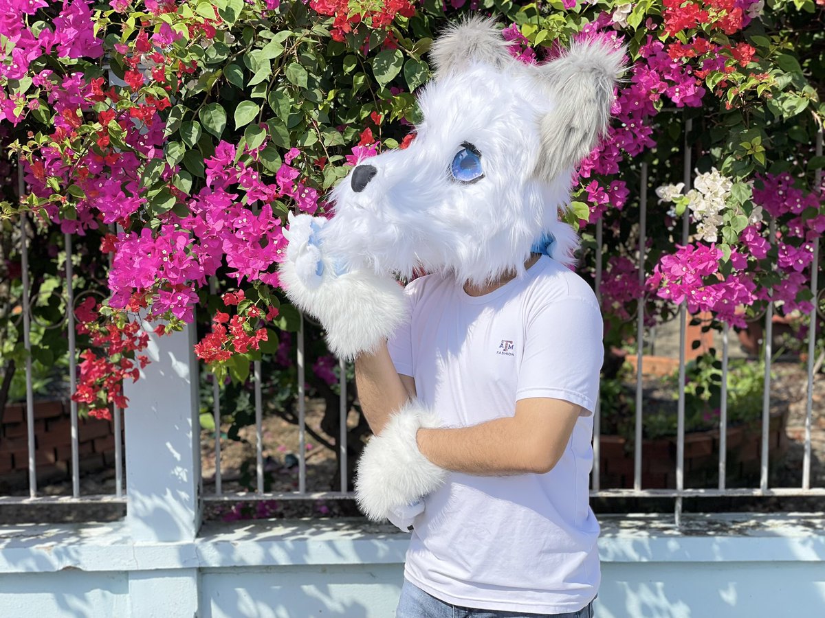 Sochi_Okami's tweet photo. ✨🐾🌕🐺

🦊🐺🐱: “Hey! Sochi, what are you thinking about? 🌸🌿✨🌈🌟⭐️”
Sochi 🐺: “Ah, nothing. ☘️🍀🌱🐾”
🦊🐺🐱: “Oh, is that so? ✨🌺🍁”
Sochi 🐺: “Yeah. Let’s go quickly. 🐾🐺”
🦊🐺🐱: “Hey, wait for me! 🌙”

🌒🌓🌔🌕🌖🌗🌘

✨ “A little moment of ours…” ✨ https://t.co/64Mu9mfcnh