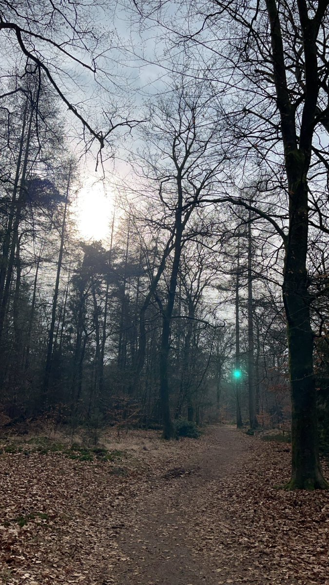 Fijne wandeling gemaakt vandaag! Tot nu toe gaat het erg goed met de goede voornemens (meer wandelen, elke week een boek lezen)