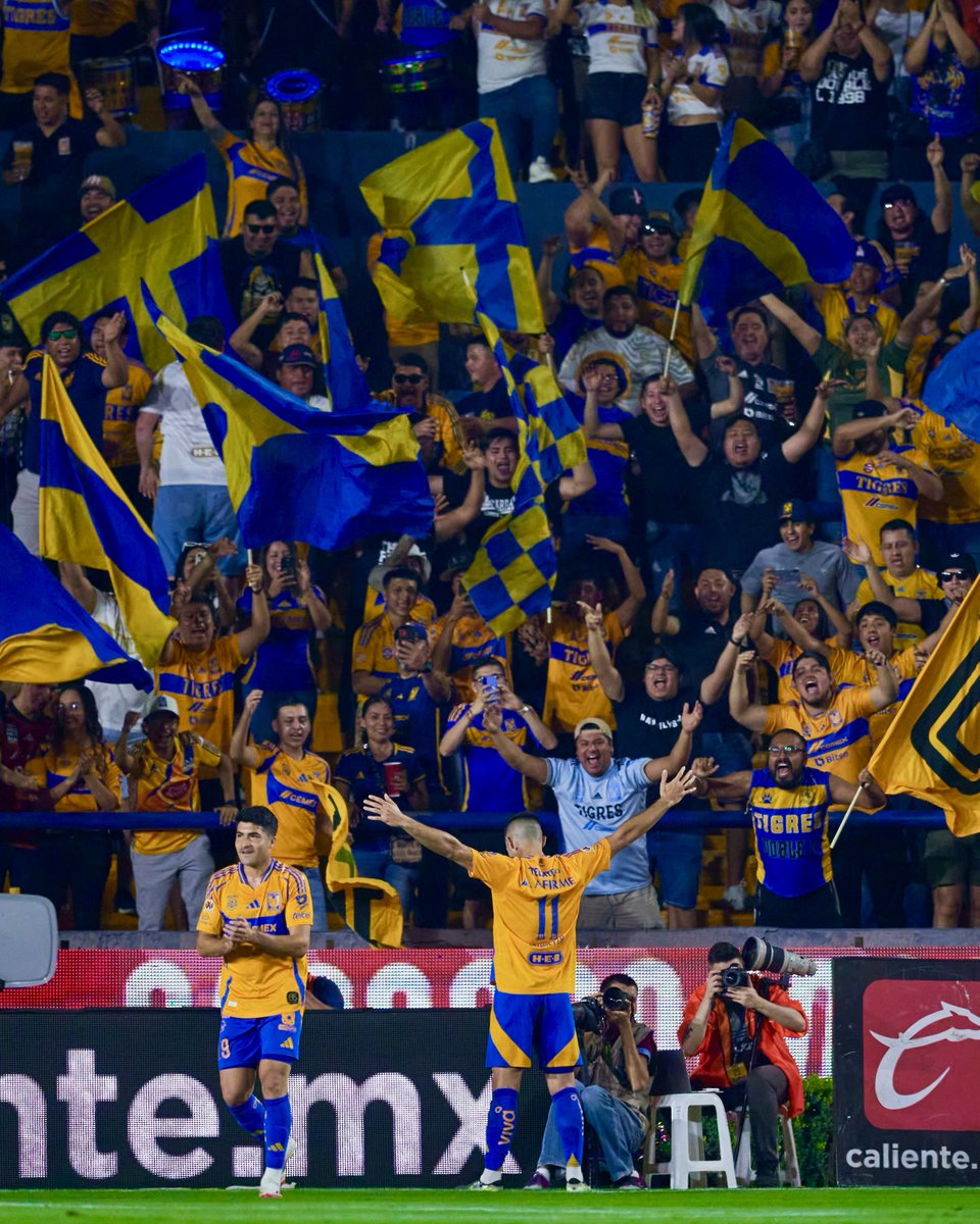 TigresOficial's tweet photo. ¡RT 🔃 si tu equipo ganó esta jornada y vamos por más! https://t.co/bD8DRMOBtG