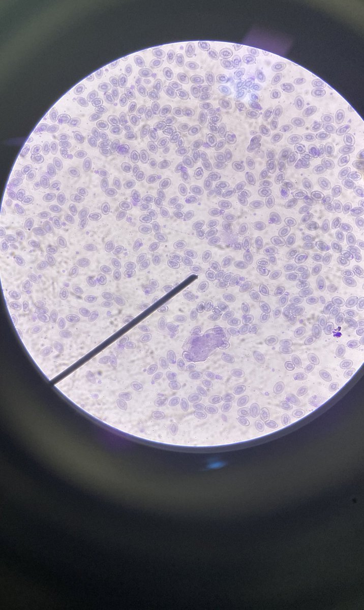 life outside stan twt core ⭐️