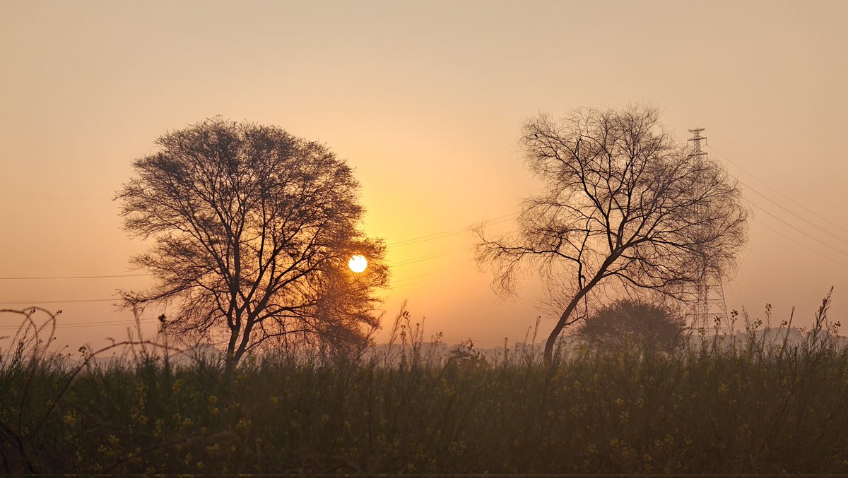 iamVivekCShukla's tweet image. Bank of Yamuna just a couple of miles before #Mahakumbh convergence 
#MahaKumbh2025