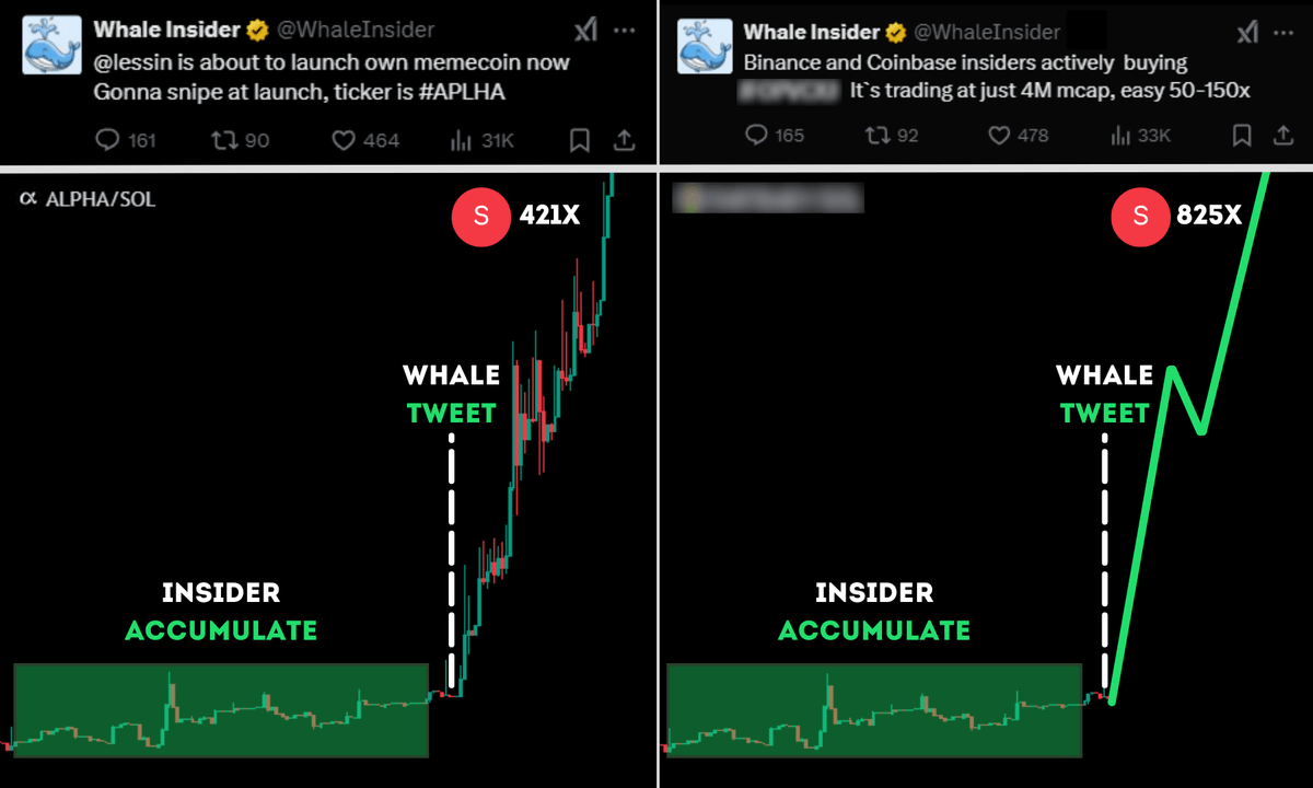 Shelpid_WI3M's tweet photo. WHALE INSIDERS KNOW WHAT TO DO

They called #JAILSTOOL and it already did 360x

And that’s not where they stopped…

3 INSIDER wallets loading the next big Xs 🧵👇 https://t.co/IhEktqLG2j