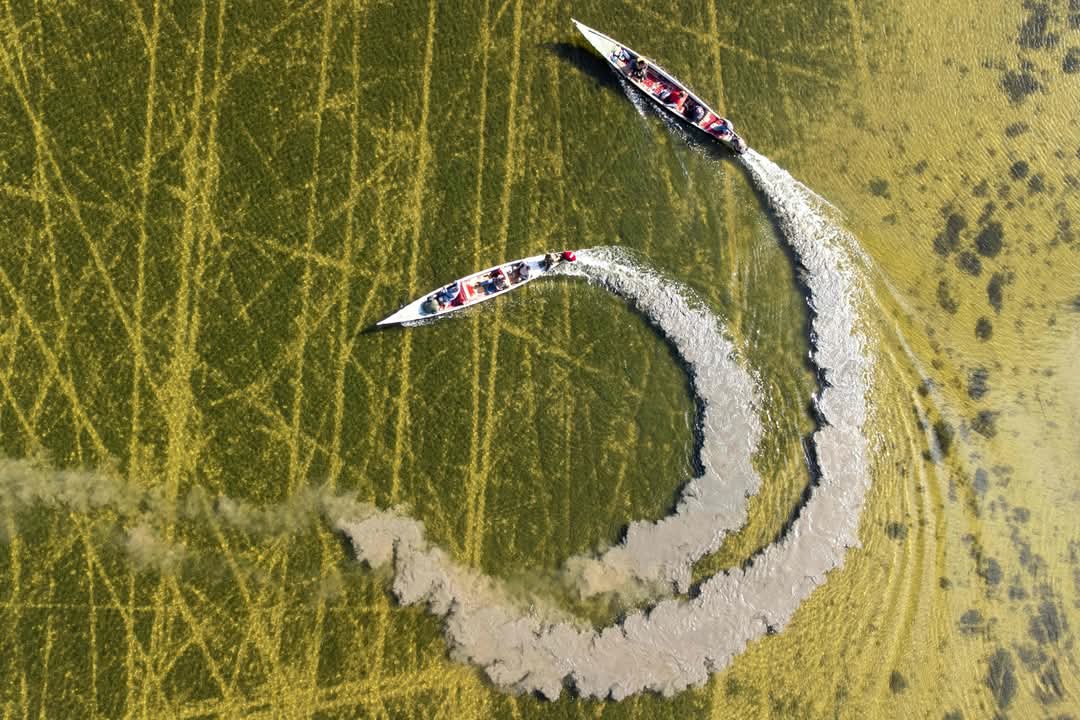 AqeelAlmansrawi's tweet photo. The waters of the Chibayish #Marshes in Dhi Qar Governorate appear from the sky like a masterpiece painted by nature, with intertwined lines drawn by boats carving their paths in harmony with the surroundings.
📸 Asaad NIAZI / AFP https://t.co/FQGK62CdcK