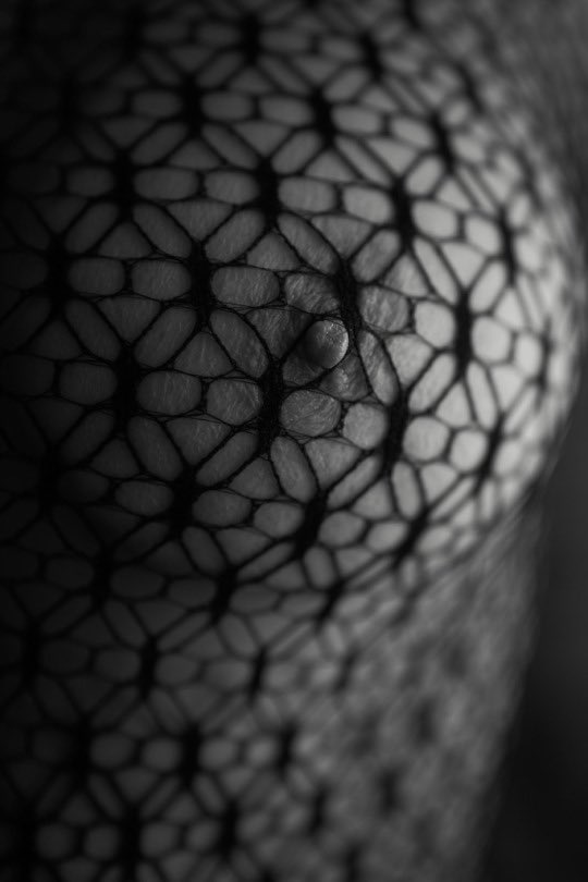 Βυζοσκability (@byzoskability) on Twitter photo 