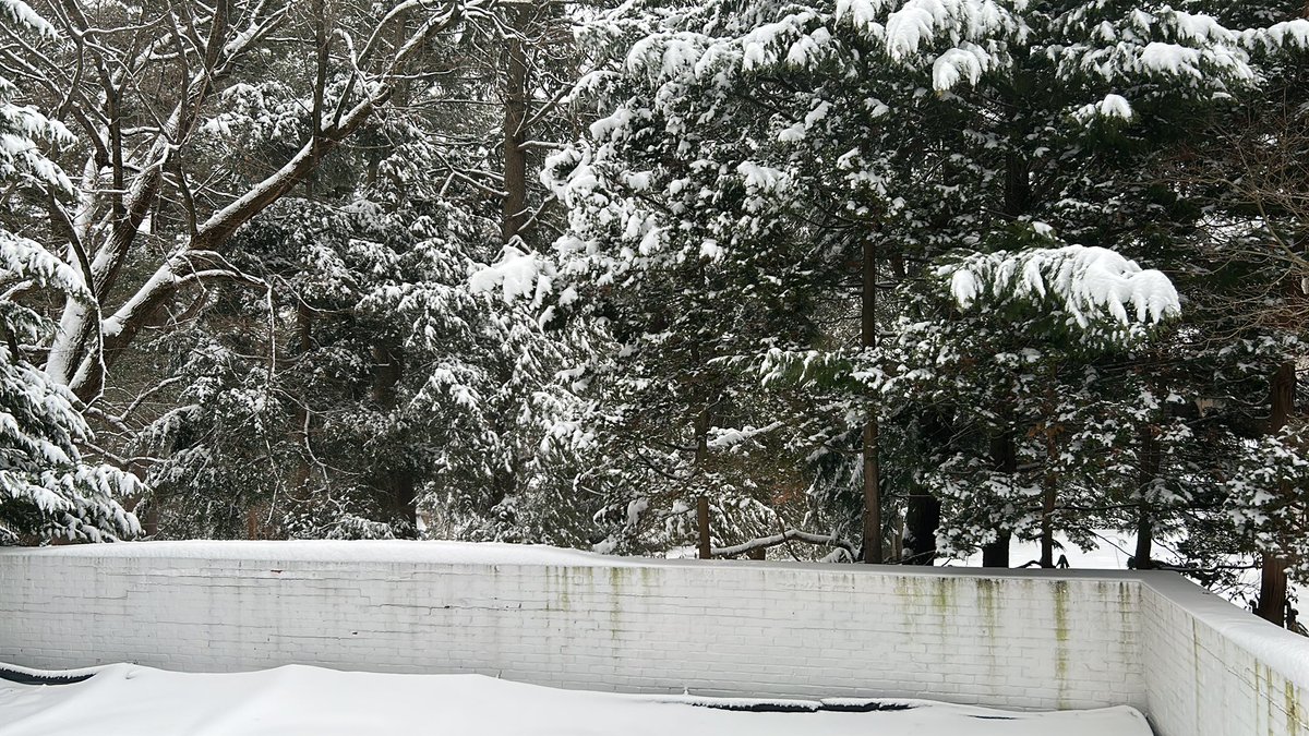 SheerPriya's tweet image. Sitting in my study in New Haven feels like I am in beautiful Aspen, thinking of @AspenPhysics this morning- there is a serene calm after the winter storm…
