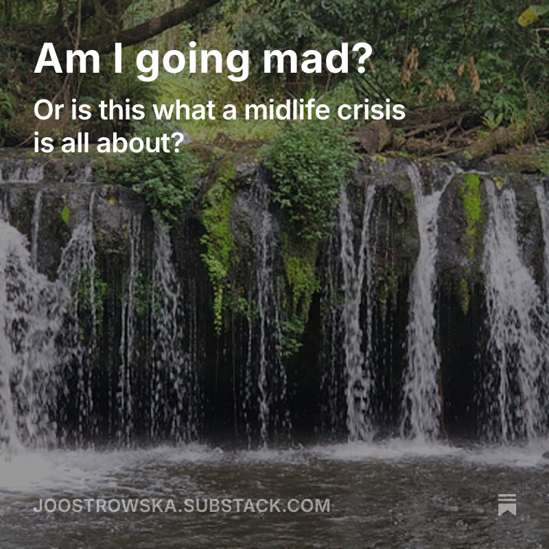 open.substack.com/pub/joostrowsk…