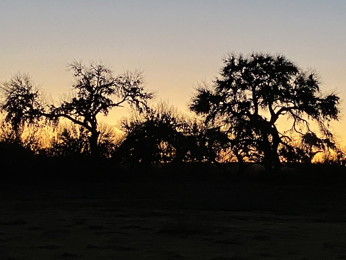 Fliper Gonzalez (@flipgon_) on Twitter photo 