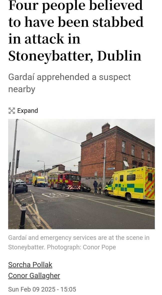 The Flare tweet media