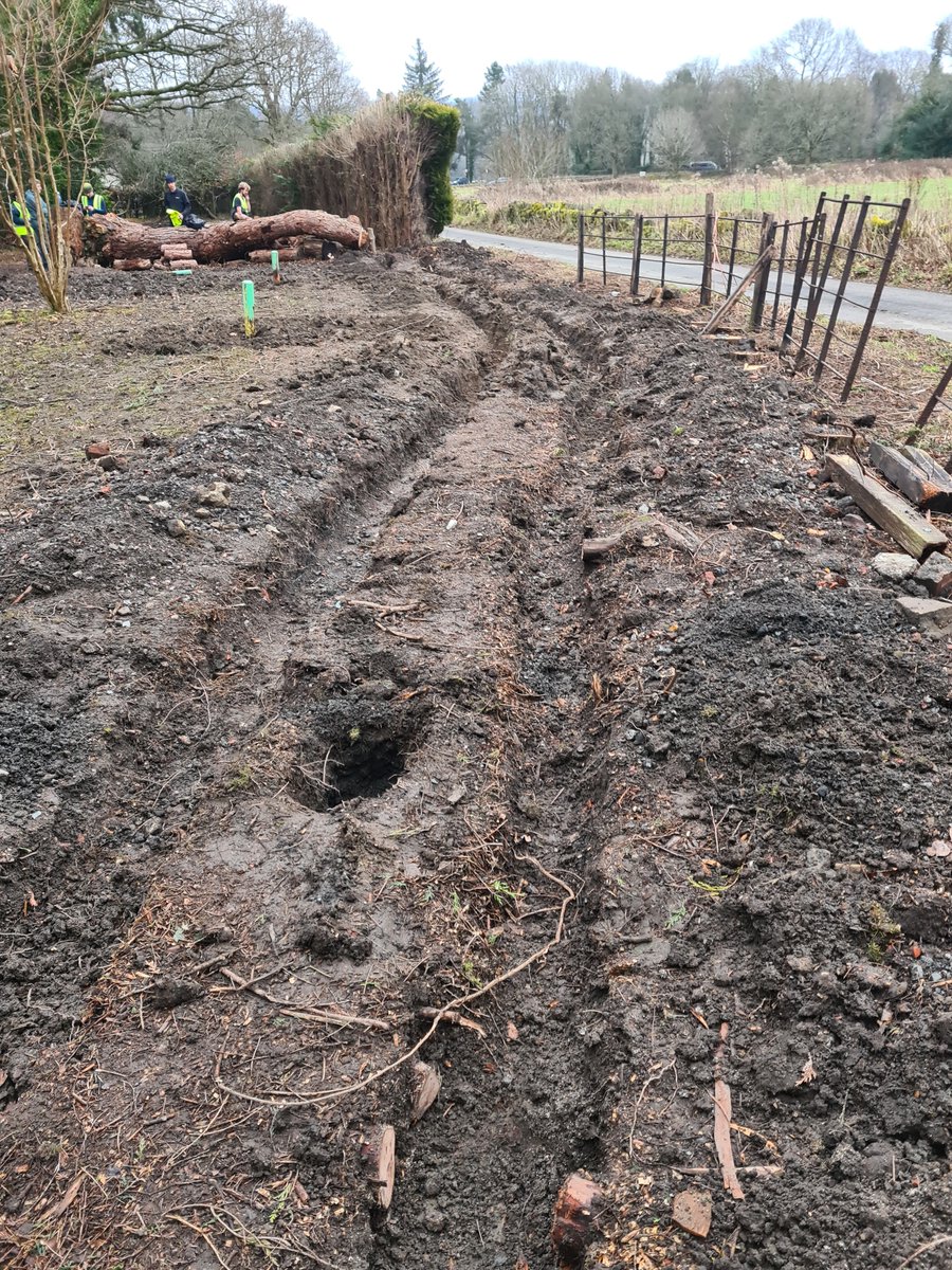 LET'S GROW A HEDGEROW! - as you can see we've dug the trench, now all we need to do is plant the hedge! Come and volunteer to plant a native hedge in our community orchard on Saturday 15th February from 10.00am- 12.00pm. Please book on Eventbrite.
…s-grow-a-hedgerow-fowp.eventbrite.com/-