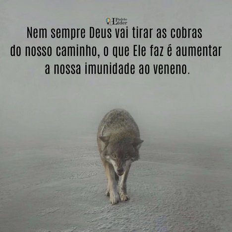 LivroseMusculos's tweet photo. Se você quer ser mais forte, precisará enfrentar batalhas mais difíceis. https://t.co/mx5iAWrHA9