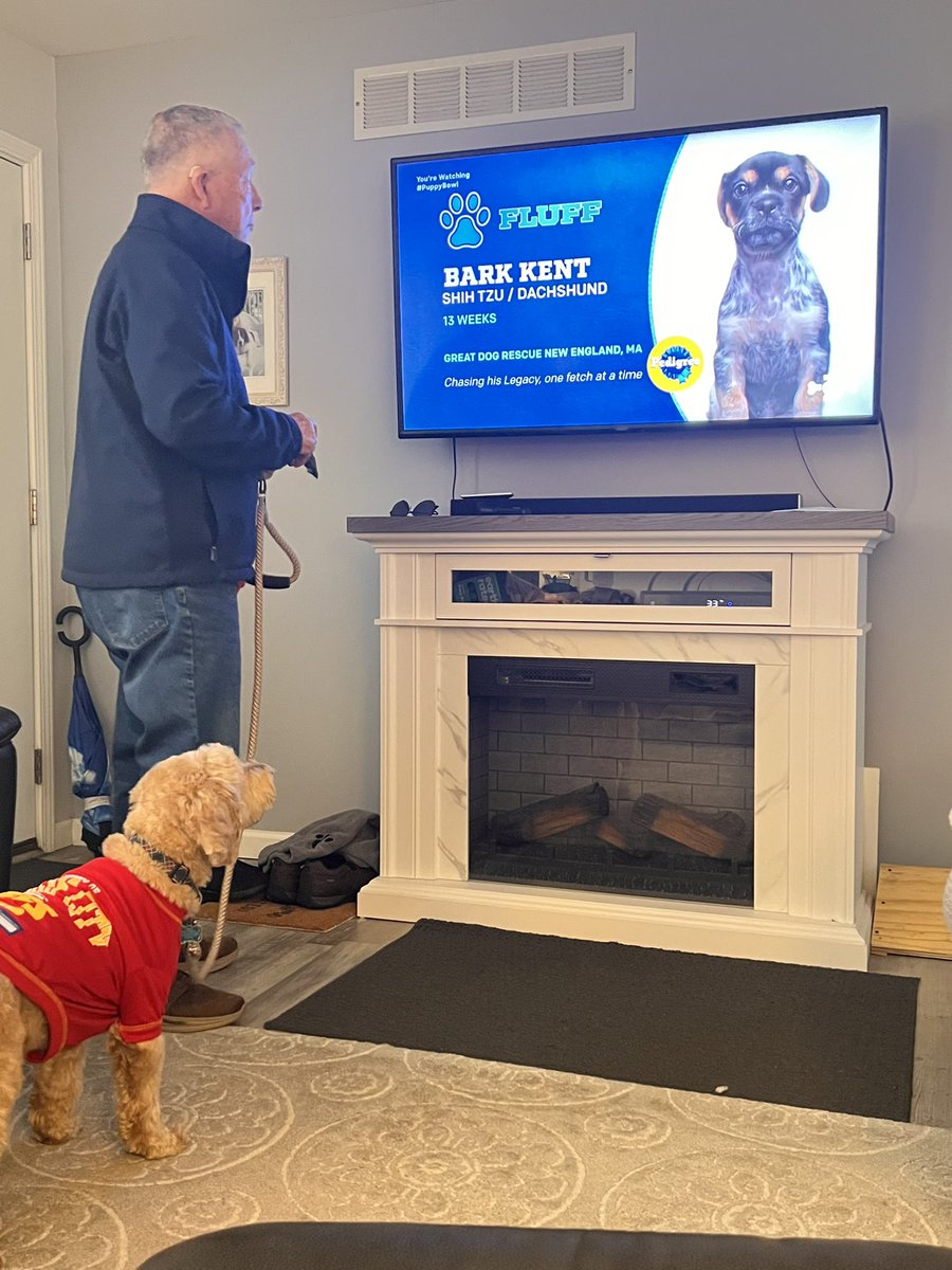supsec58's tweet photo. Watching #puppybowl https://t.co/S6uqkYL2UG
