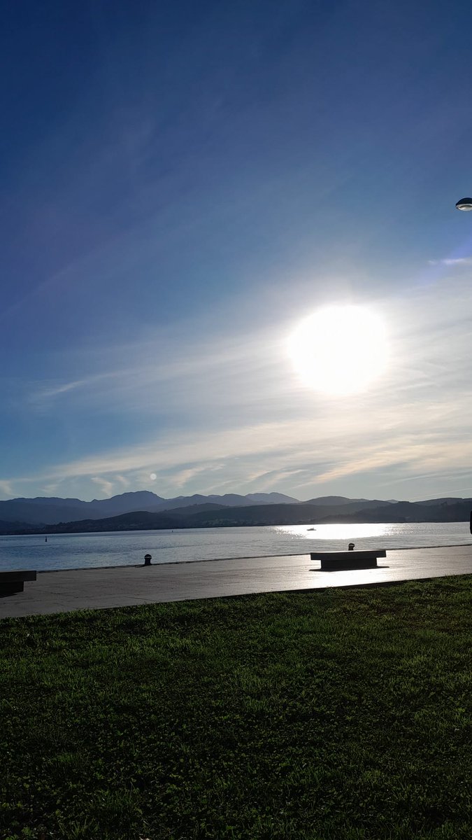 "Mentir constantemente no tiene como objetivo hacer que la gente crea una mentira, sino garantizar que nadie crea en nada. Un pueblo que ya no distingue entre la verdad y la mentira no puede distinguir entre el bien y el mal: un pueblo privado del poder de pensar".
Hannah Arendt