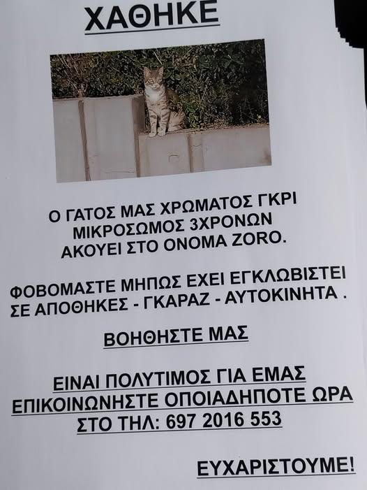 theofania_may's tweet photo. 🆘🆘🆘🆘
Τον ψάχνουν ακόμα. Χάθηκε 2 Γεναρη από τον Άλιμο. Έχει λευκό στα ποδαράκια και στο λαιμό. https://t.co/2idngxwjtj