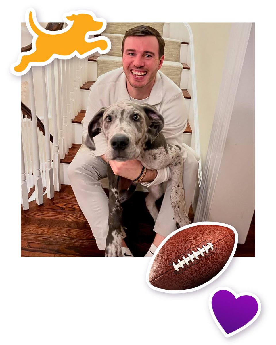 Fetch tweet media