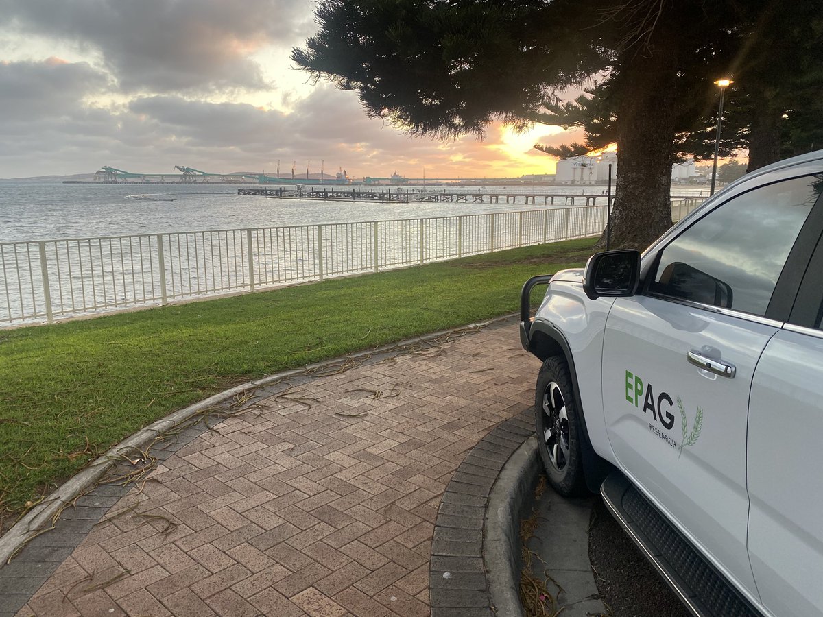 About to start the week talking to farmers and consultants on the Eyre Peninsula about pulses and sandy soils. 

Thanks <a href="/Ware_AH/">Andrew Ware</a> for spotting me a ute. <a href="/ag_eyre/">Ag Innovation & Research Eyre Peninsula</a>