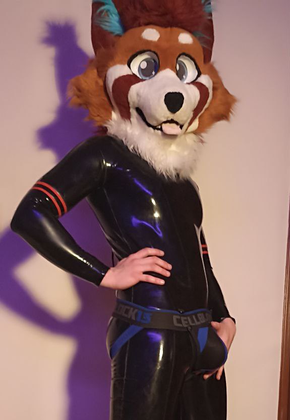 El pandilla tweet media