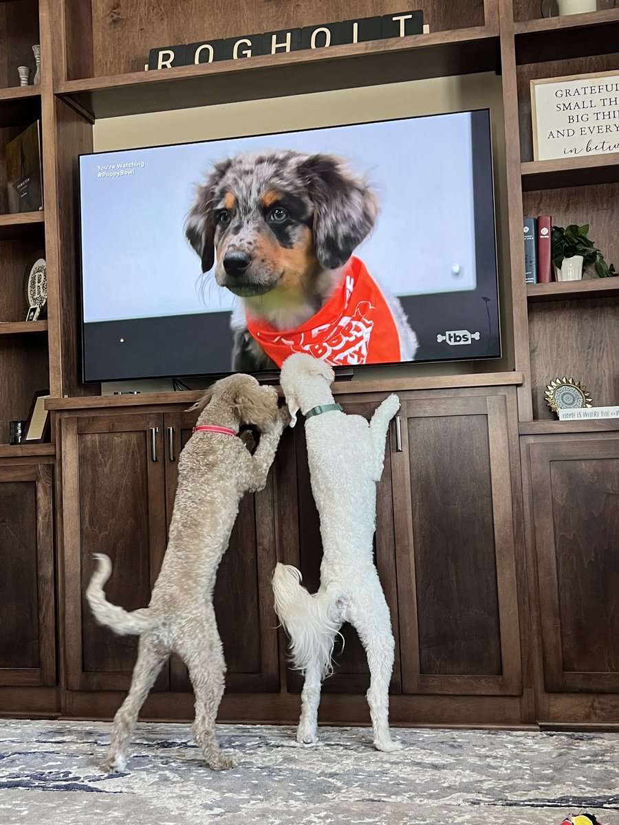 Megan Rogholt, Ed.D. tweet media