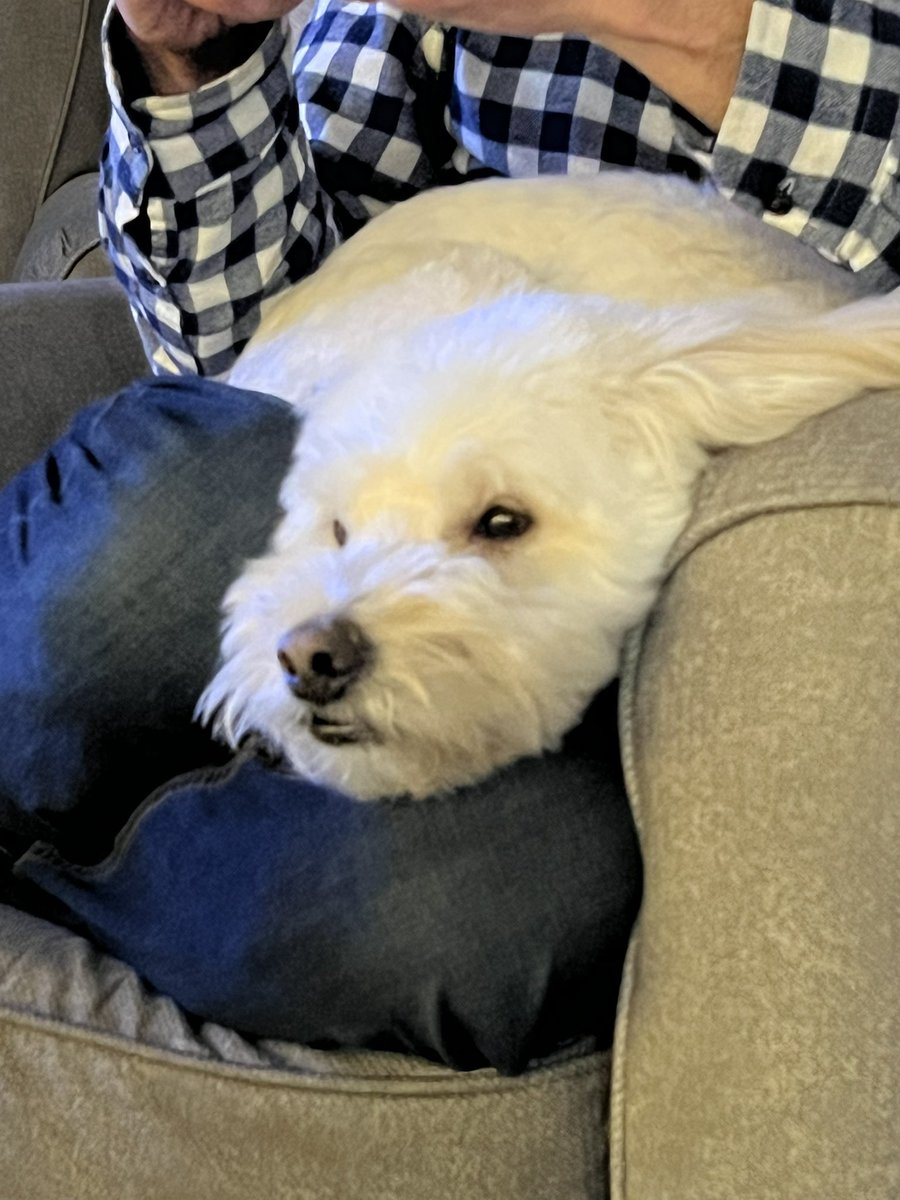 Megan Rogholt, Ed.D. tweet media