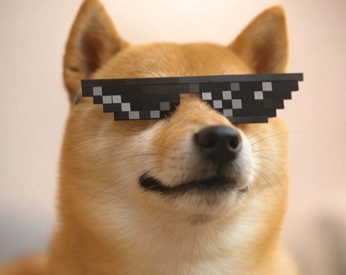 OdinDoge back up to 1.4mil! 

BXYQqDsko5tQAwyLazhEv6NLbqPqnPsiWw4i9jBipump