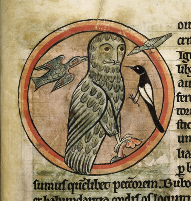 rebecca_lexa's tweet photo. Happy #SuperbOwlSunday! This contest to find the very best, or Superb, #Owl, stems back to #medieval European traditions, as depicted in these contemporary illustrations. #owls #SuperbOwl #raptors #birds #Strigiformes #IlluminatedManuscripts https://t.co/88YqlswOHH