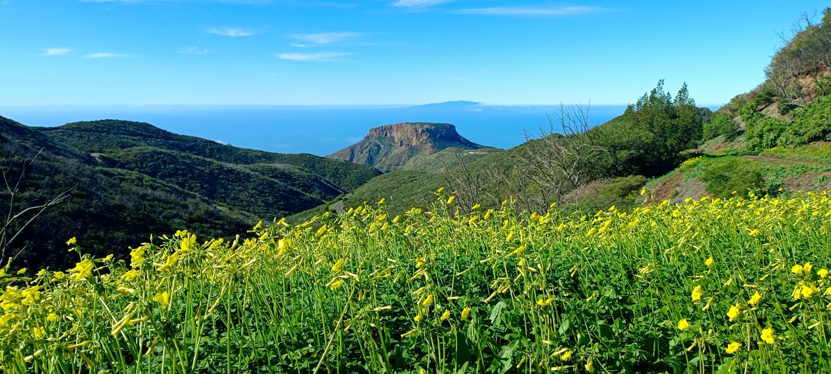 Daniel Wolters tweet media