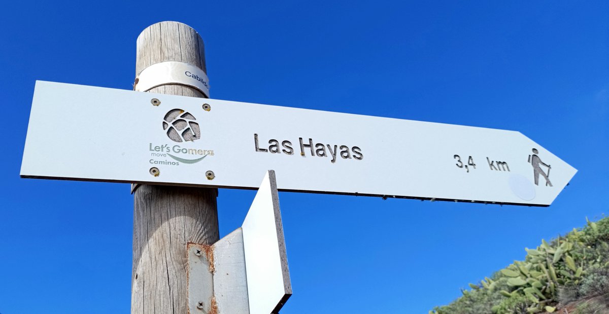 Daniel Wolters tweet media