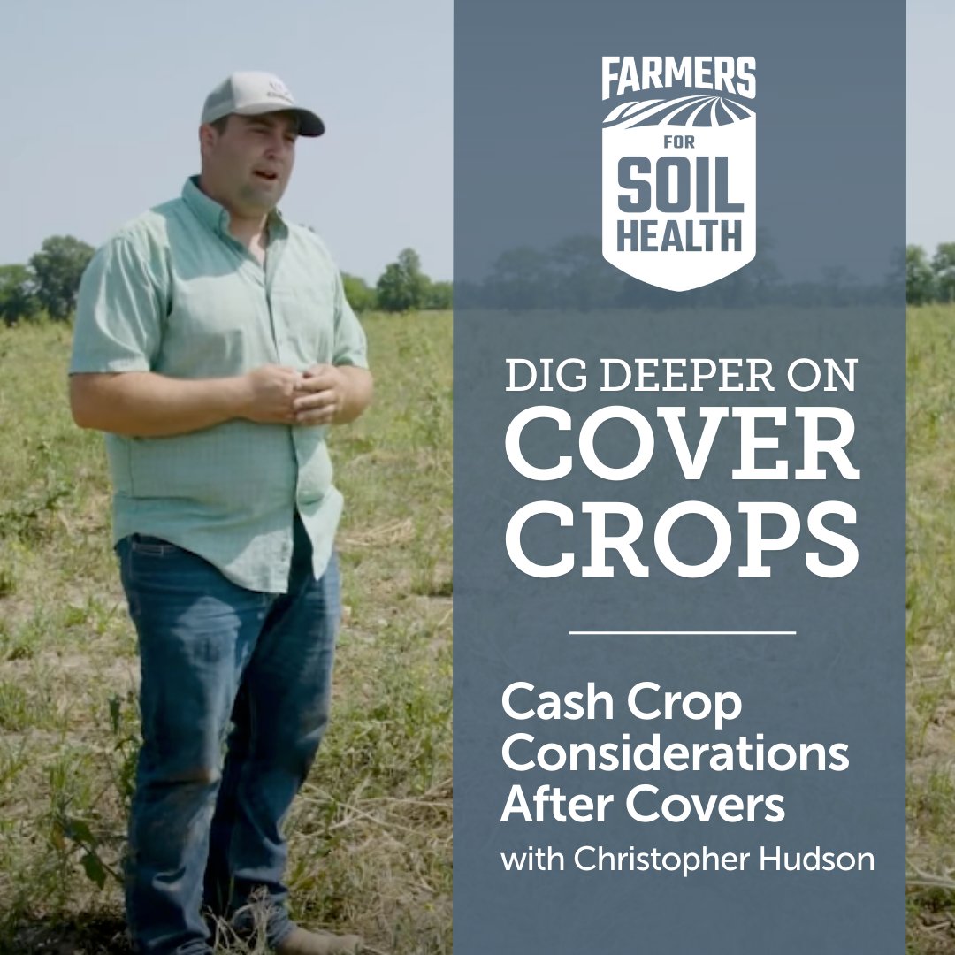 Meet Christopher Hudson, a row crop and cattle farmer in Middletown, Missouri.

Hear Hudson discuss how he uses cover crops in his operation to improve the health of his soil and as an asset to his livestock operation.

YouTube.com/watch?v=wzv_B6…