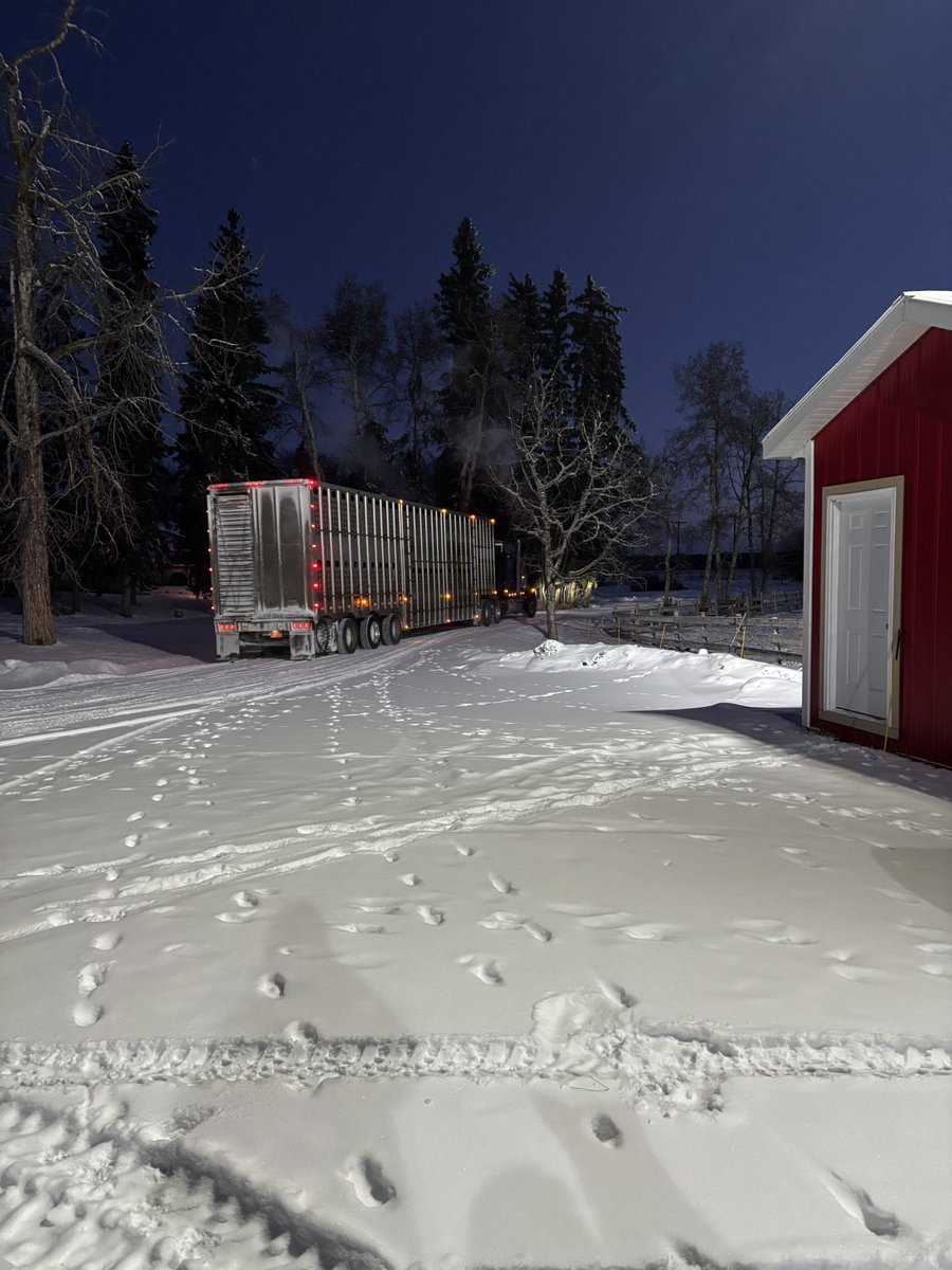Make good choices 👋🏻 I think <a href="/garrett_wolf3/">Garrett Wolf</a> booked the truck for 7am just so I’d have to use the yard lights.