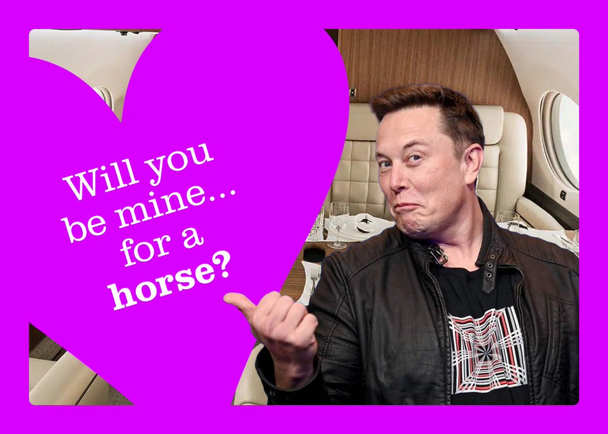 Michael N. Escobar tweet media