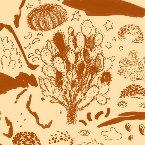 Celine Loup 🦢 MCAF A03 tweet media