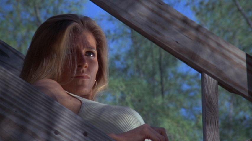 analgesicsleep's tweet photo. This week’s #DarknessAtNoon leading ladies are Susan Clark, Jessica Warren, Melanie Griffith and Janet Ward
#NightMoves #SusanClark #JessicaWarren #MelanieGriffith #JanetWard #FilmNoir #NoirAlley https://t.co/BLKsXChz17